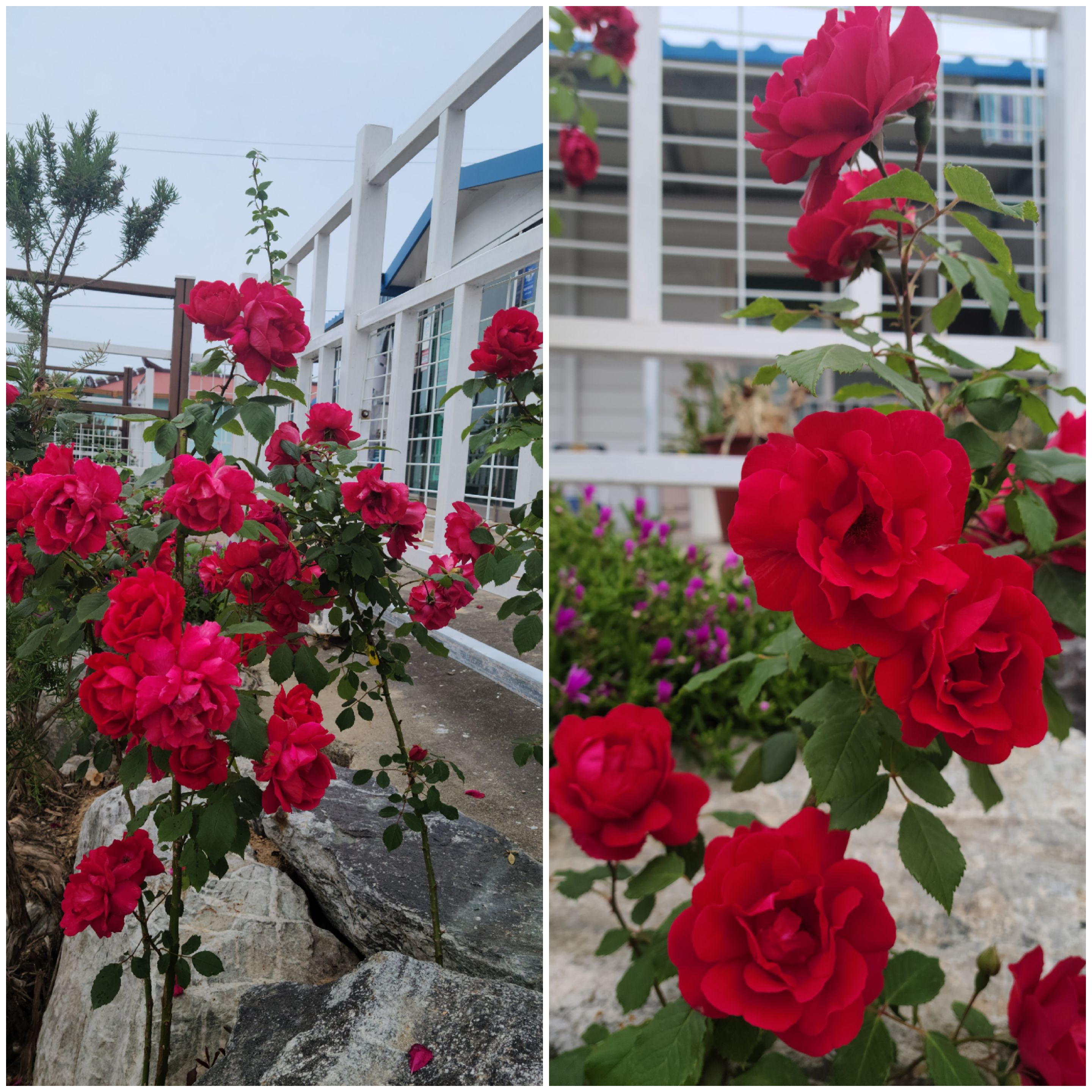 한가족실버홈 이미지 3