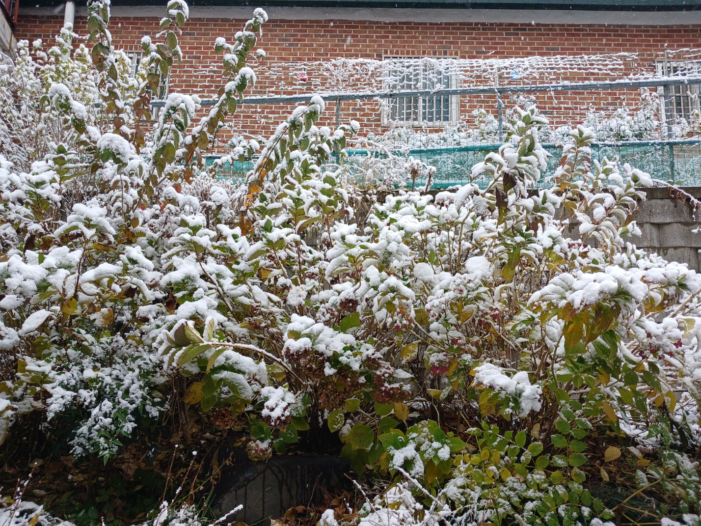 이화엔젤스요양원 이미지 3