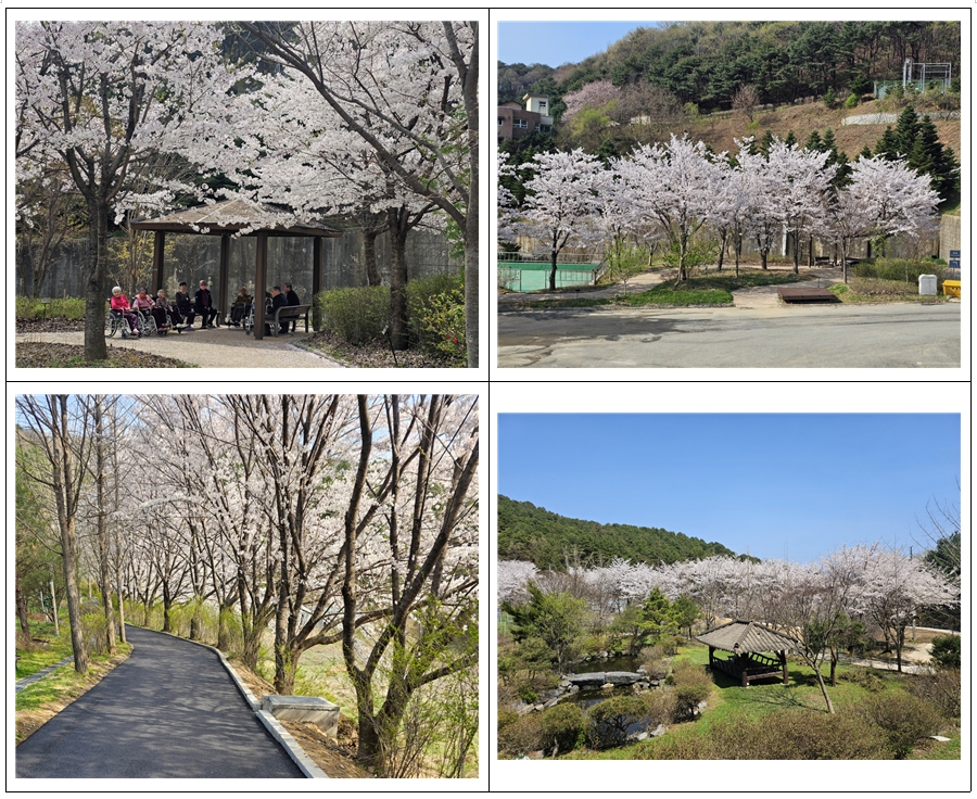 청주노인요양원 이미지 2