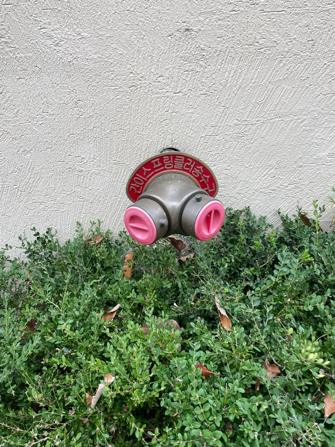 정한요양원 이미지 2