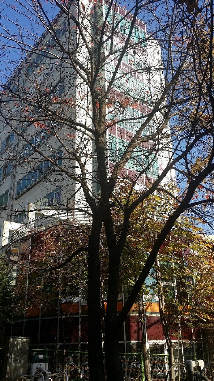 두레노인요양원C 이미지 3