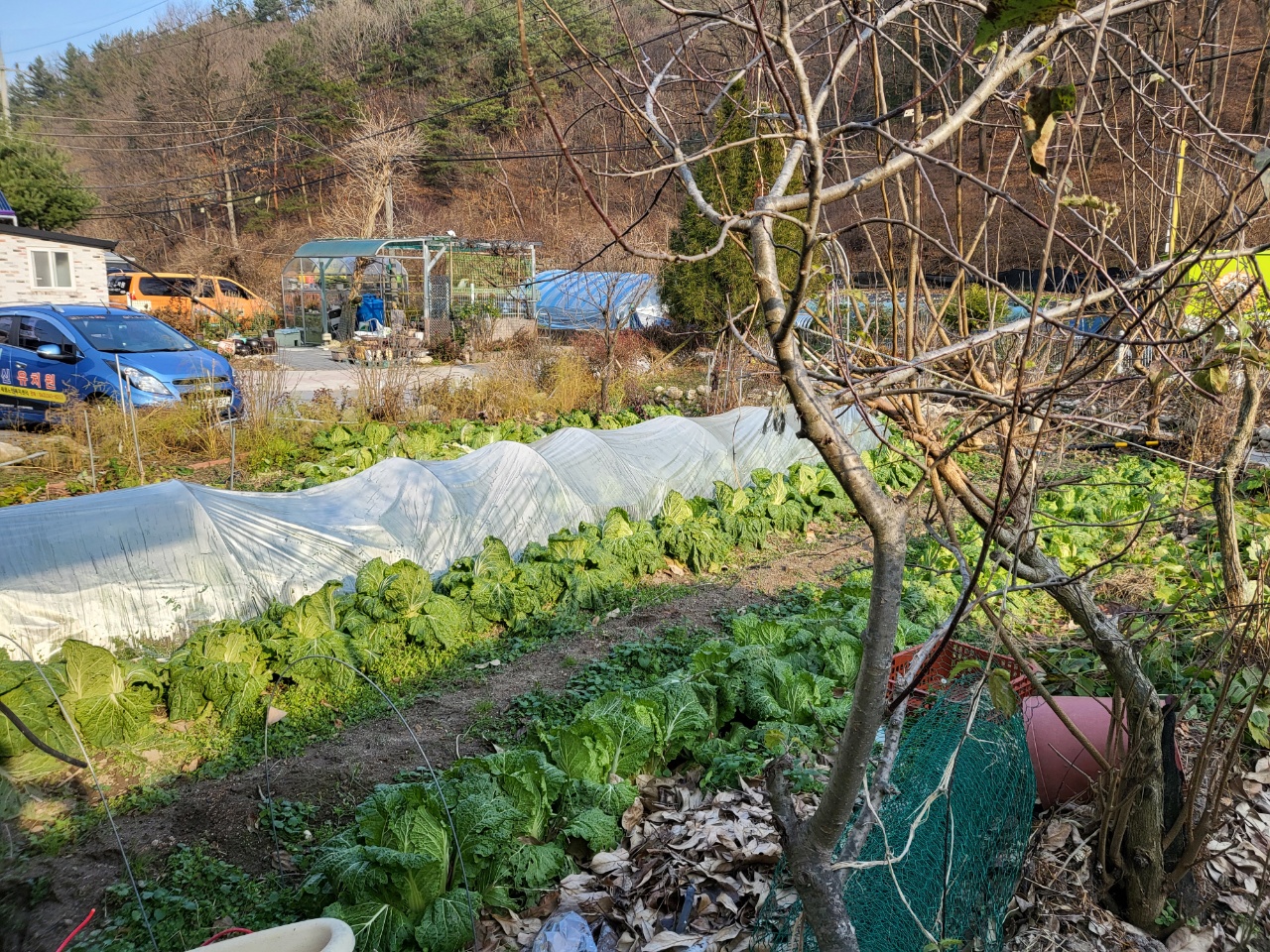 새샘노인요양원 이미지 5