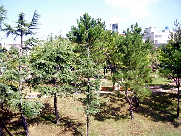 평화노인요양센터 이미지 4