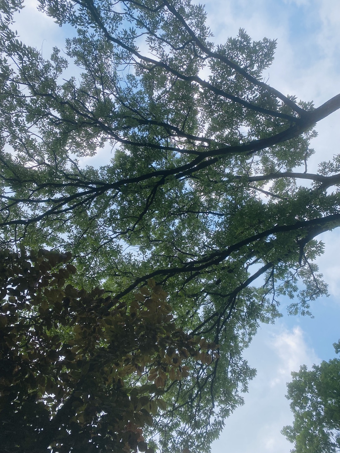 즐거운우리집 이미지 2