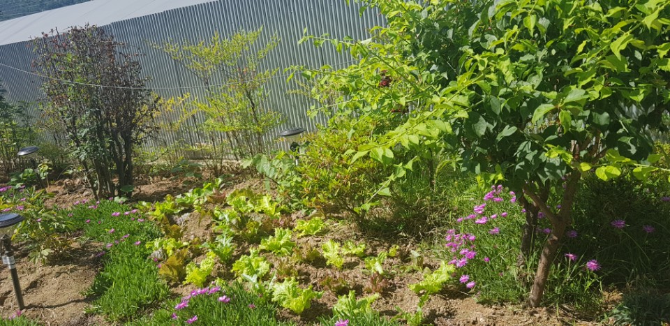 햇빛실버빌 이미지 2