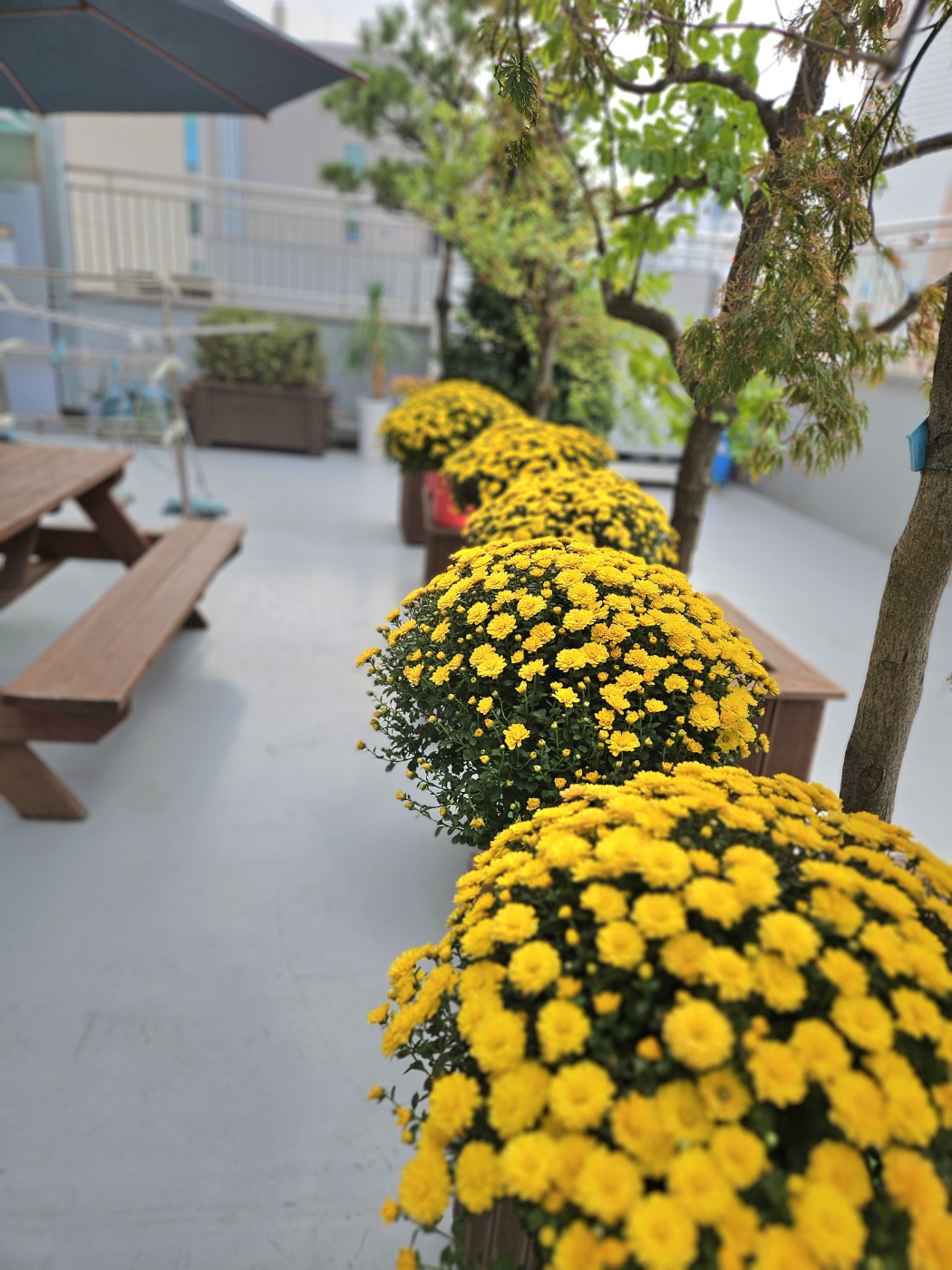 효은요양원 이미지 2