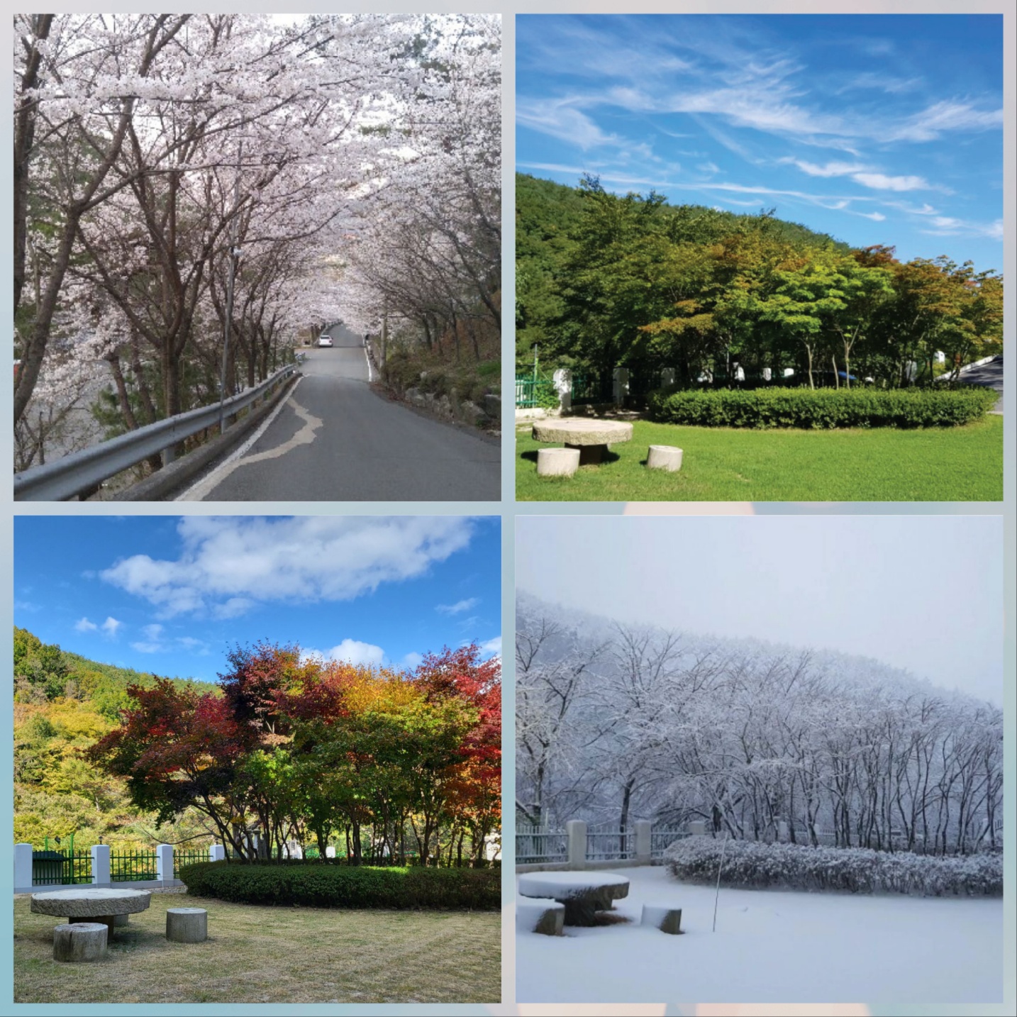 연화노인요양원 이미지 2