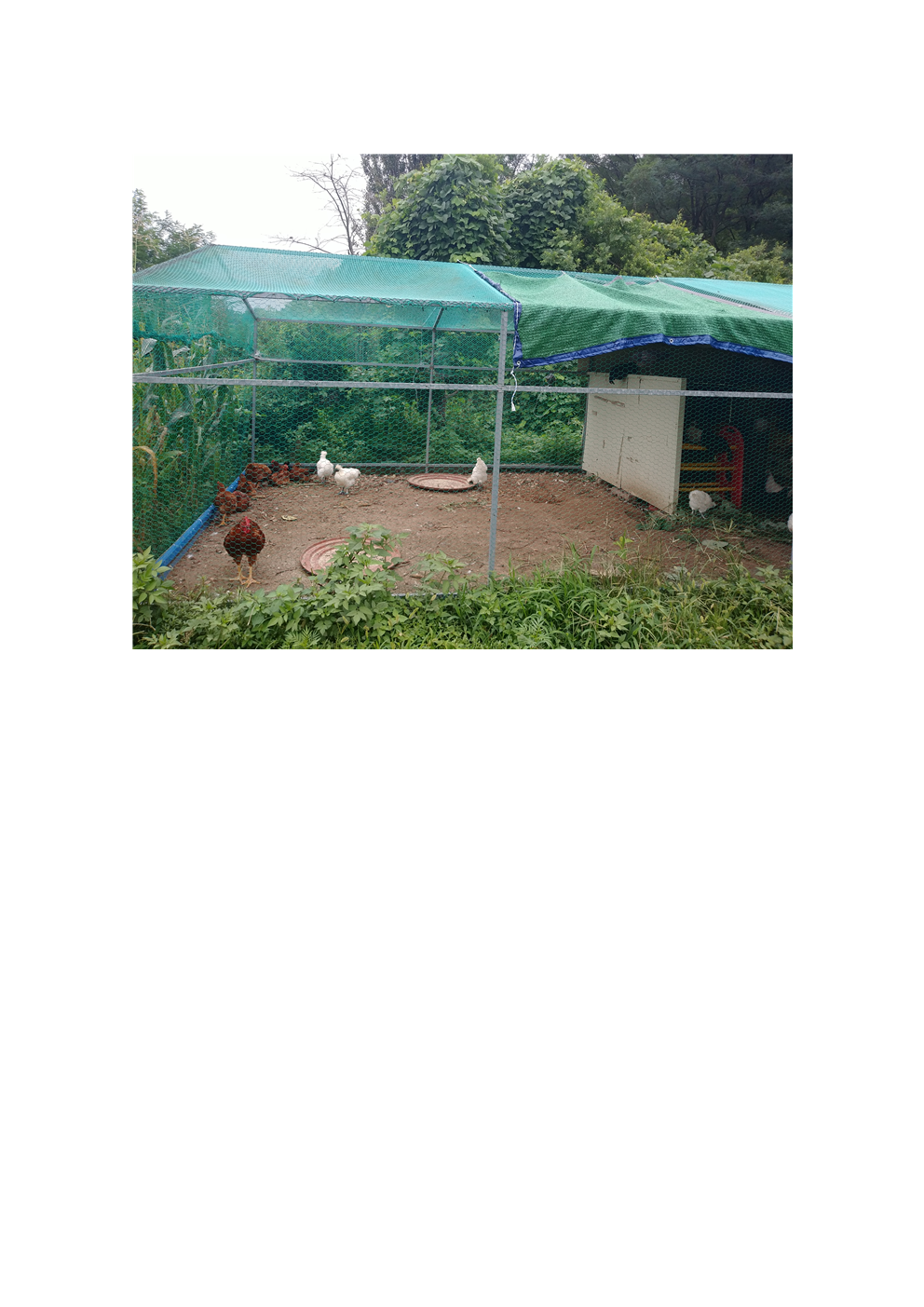 해맞이실버타운 이미지 3