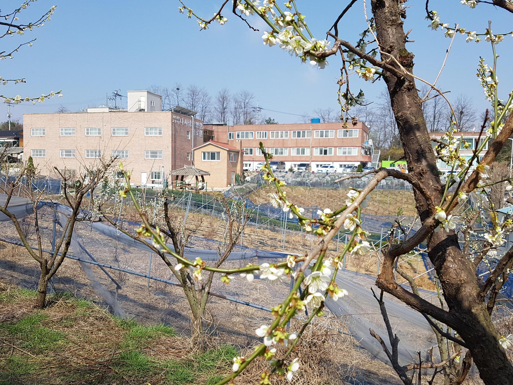 다사랑요양원 이미지 4