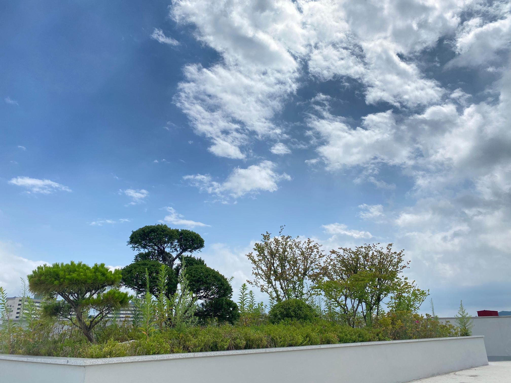 예성실버요양원