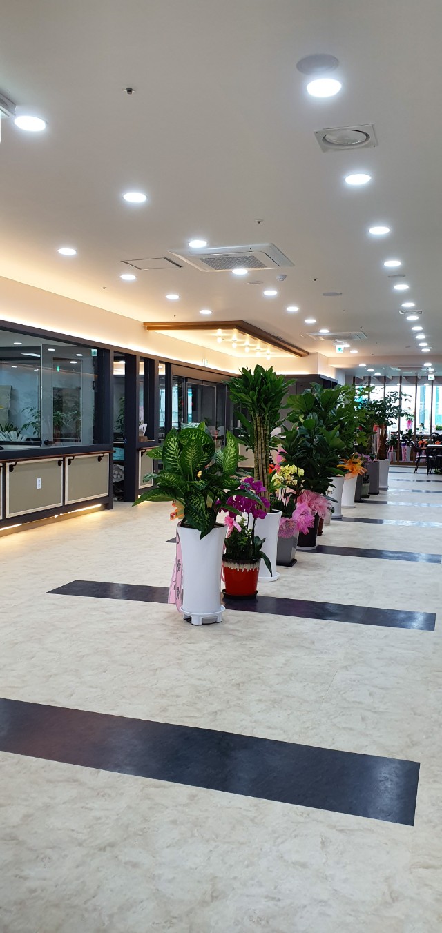 홍시요양원 이미지 6