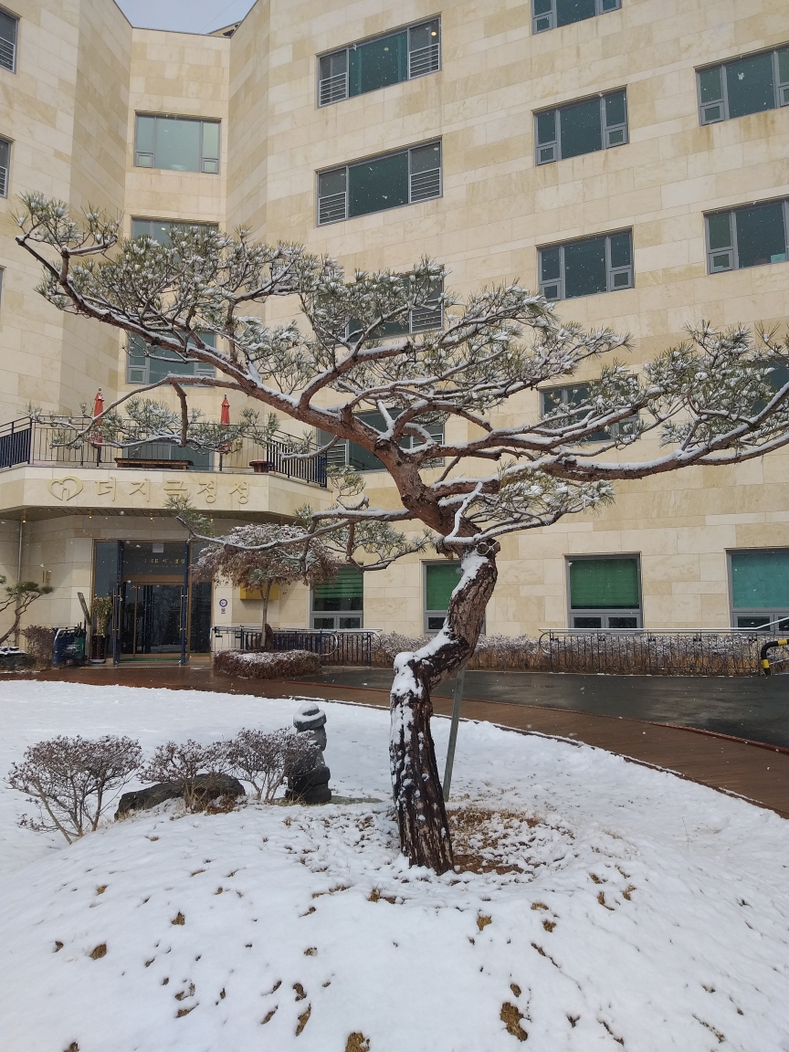 더지극정성요양원