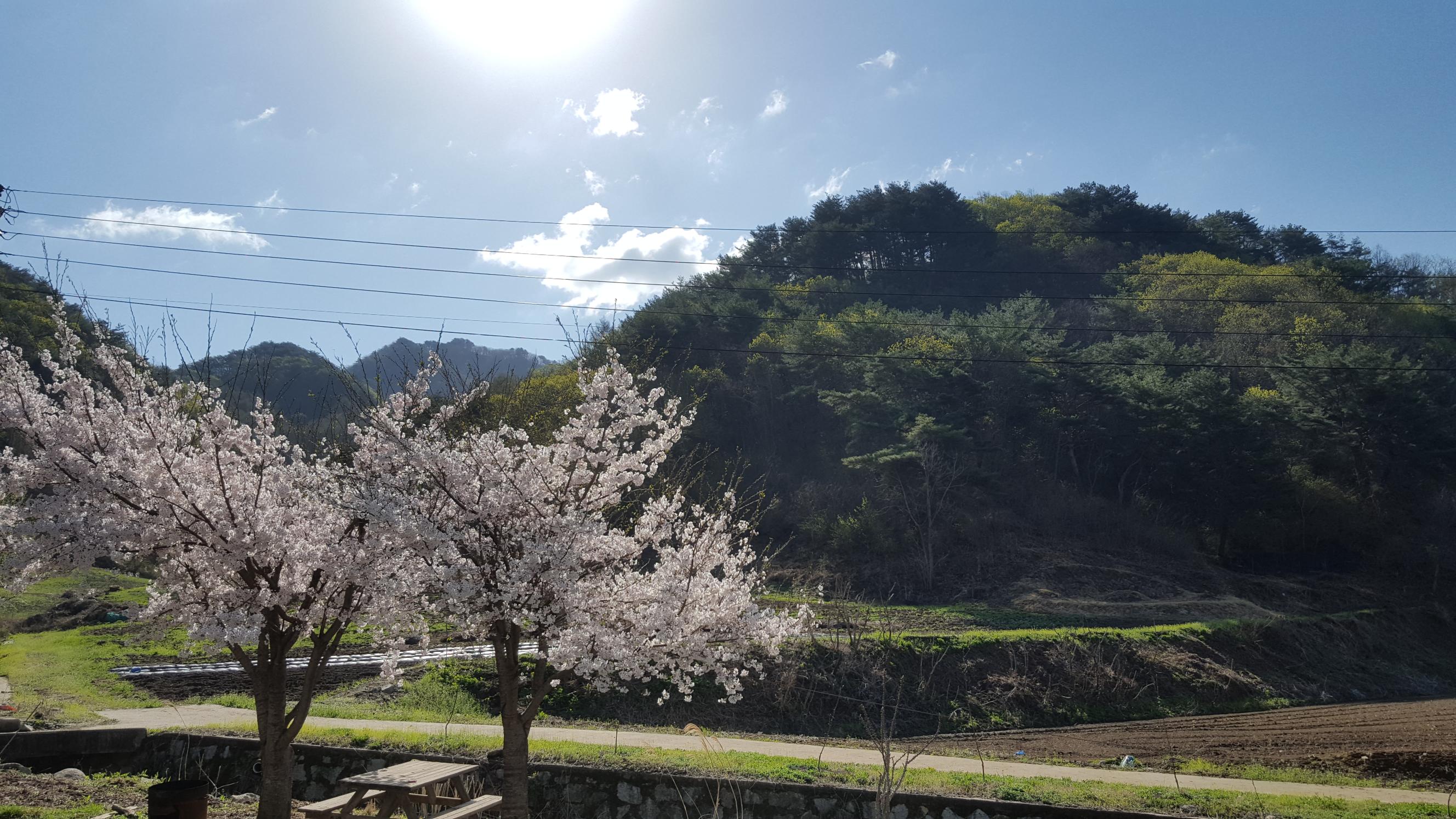 해안의집 이미지 2