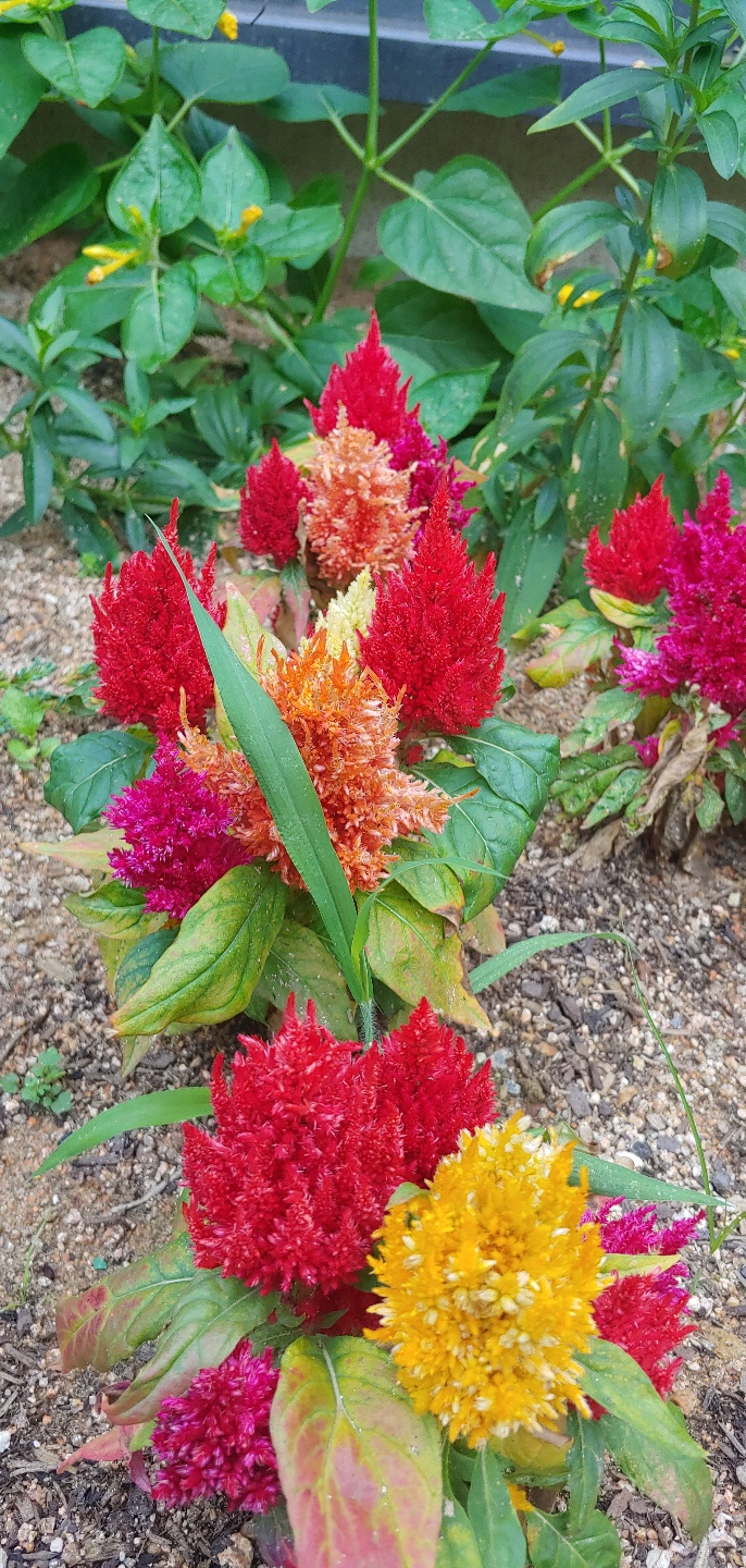 인성요양원 이미지 2