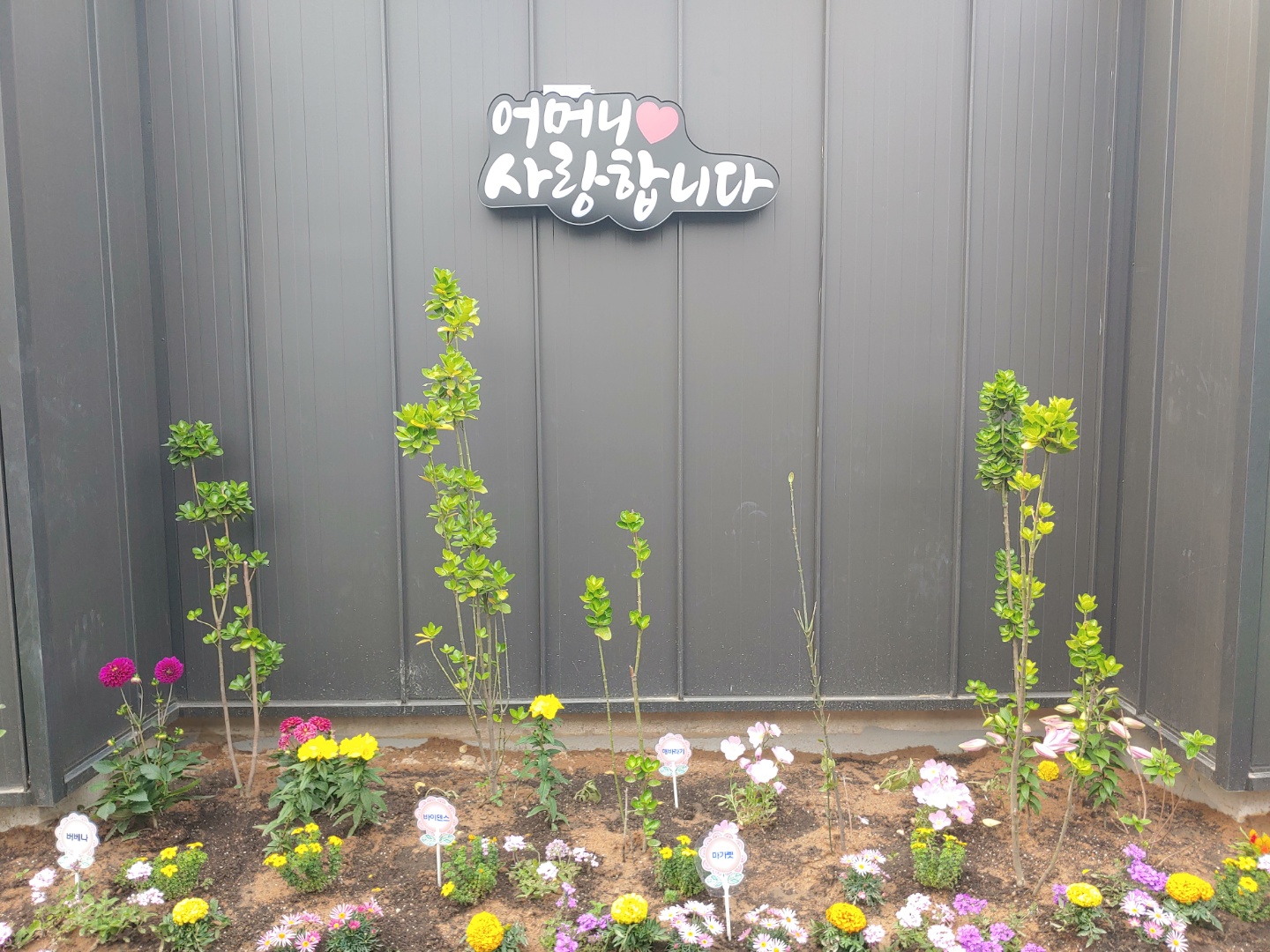 인성요양원 이미지 8