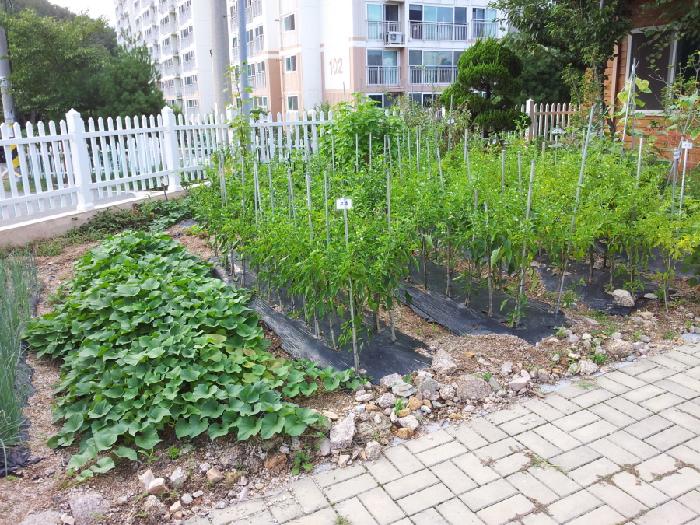 안심노인건강센터 이미지 3