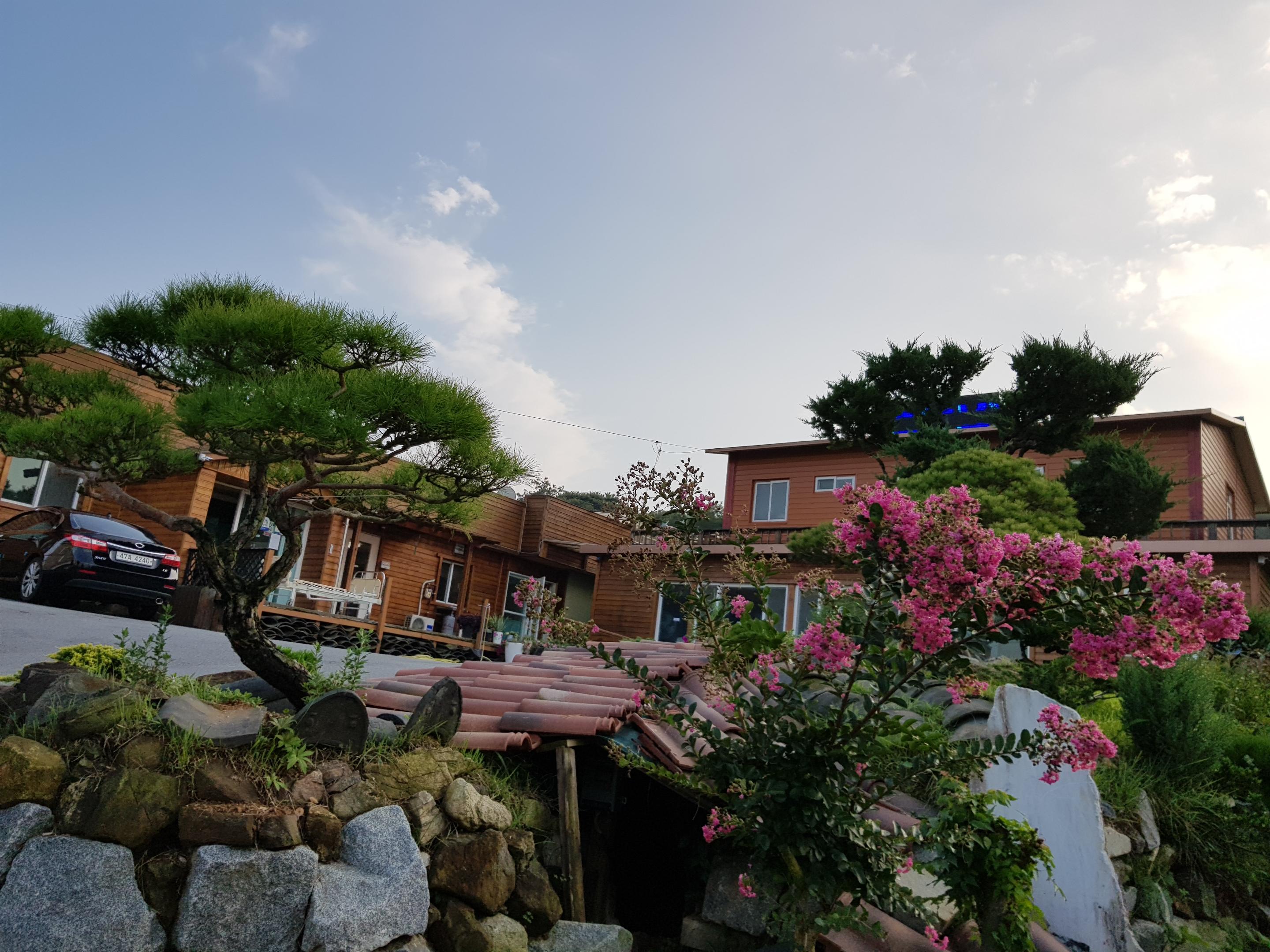 행복한베데스다요양원