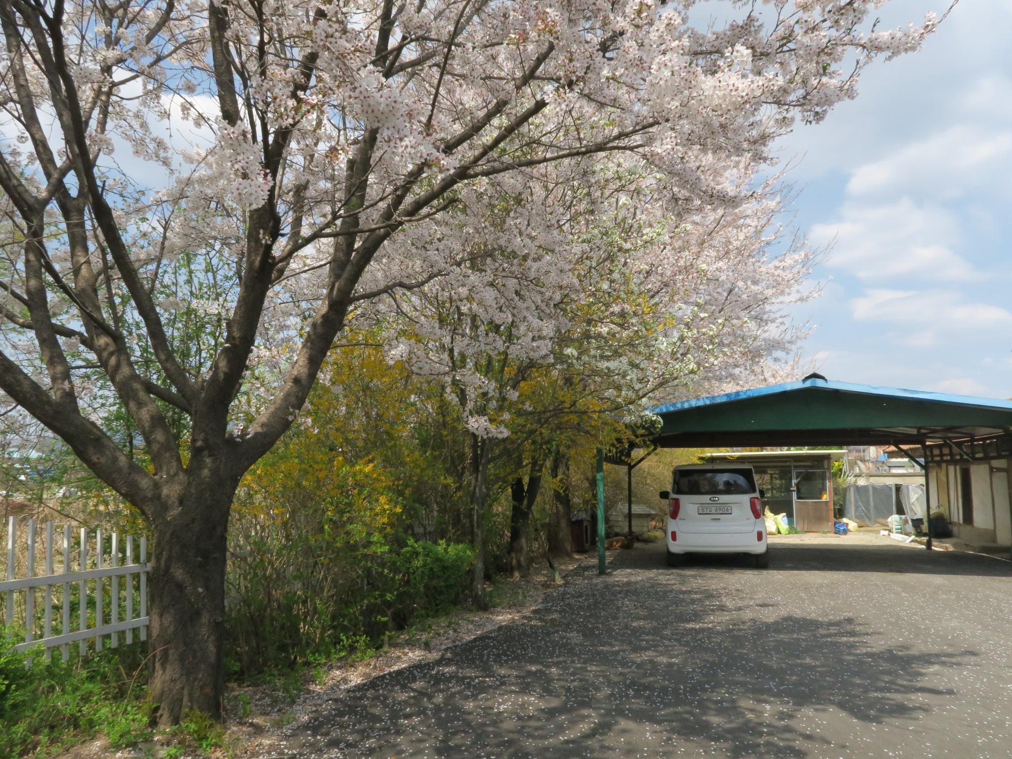 행복의집 이미지 12