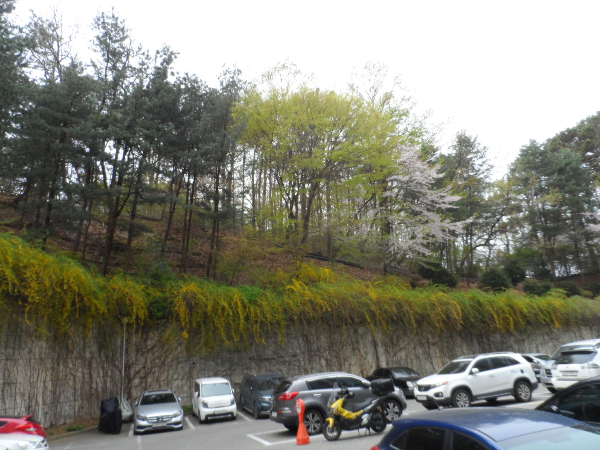 초록마을공동생활가정 이미지 3