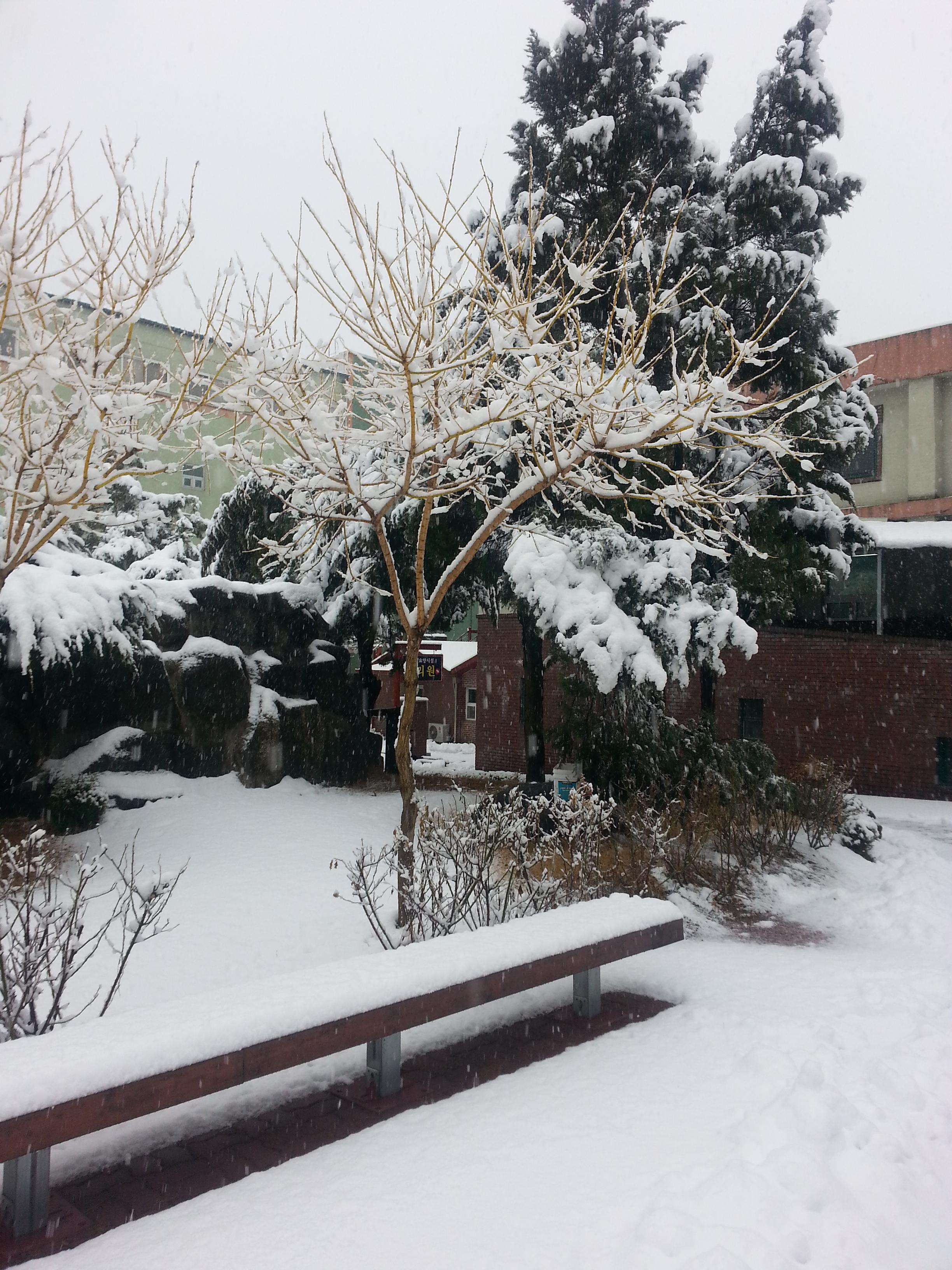 도리원 이미지 2