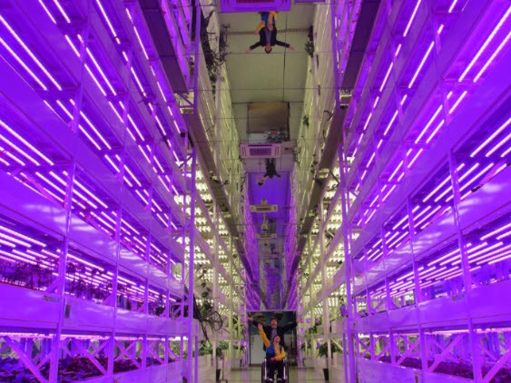 연산효자노인홈 이미지 8