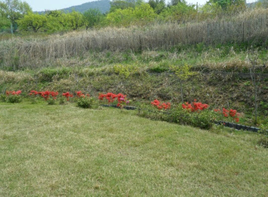 연산효자노인홈 이미지 9