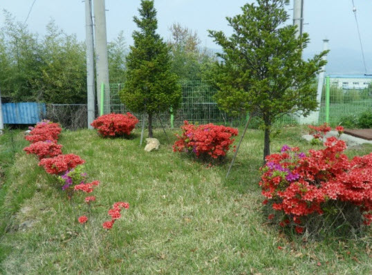 연산효자노인홈 이미지 2