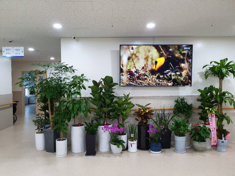 청남요양원 이미지 9