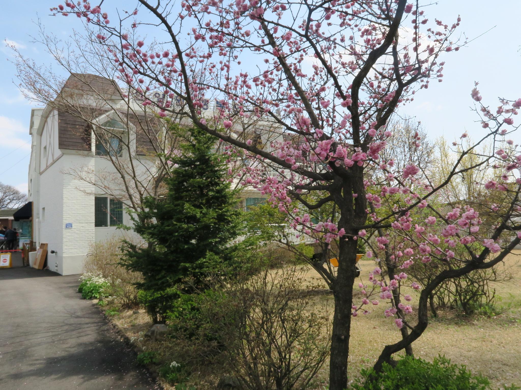 행복의집 이미지 4