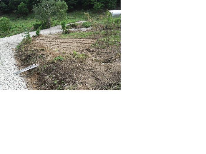 효자마을 이미지 2