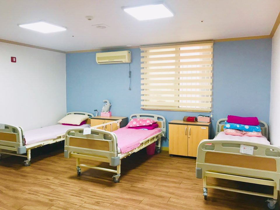 유성사랑나무 이미지 5