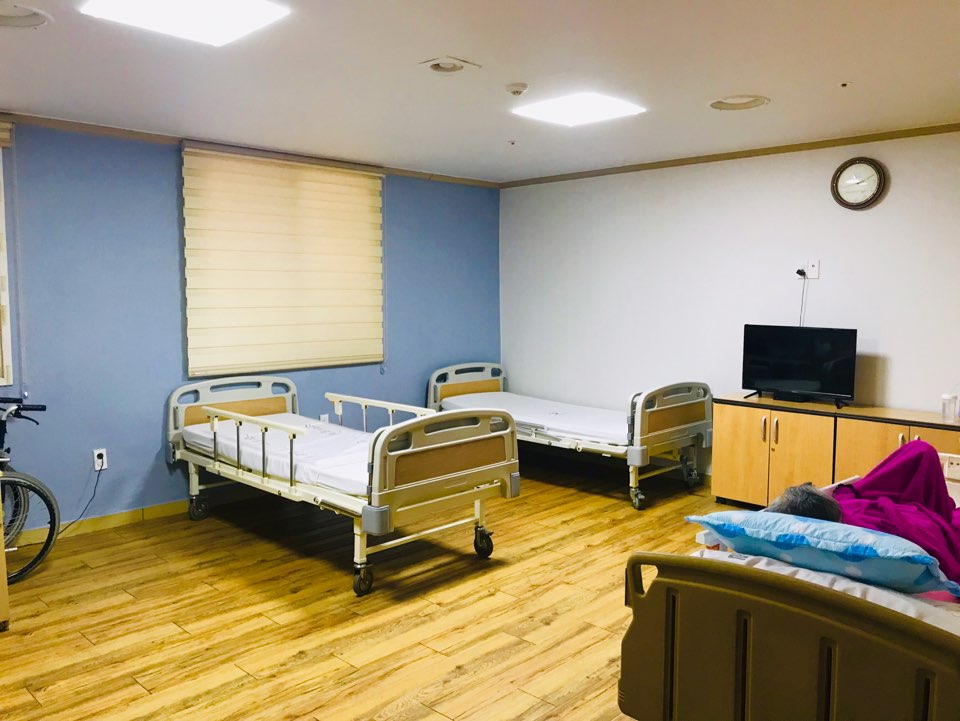 유성사랑나무 이미지 4