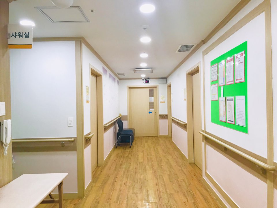 유성사랑나무 이미지 8