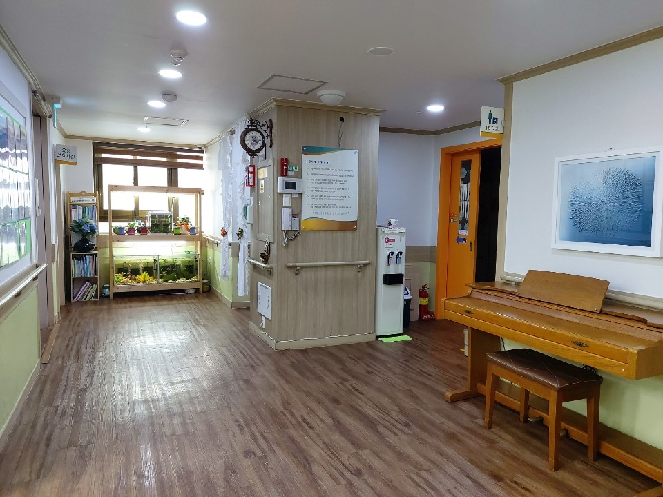 유성사랑나무 이미지 10