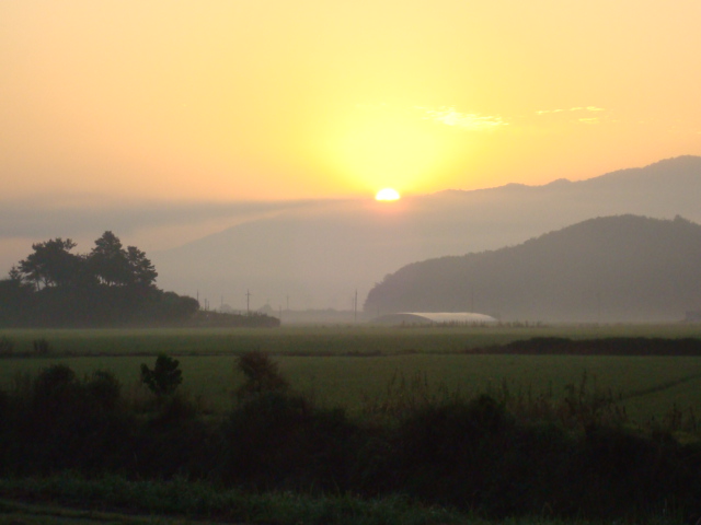 호연실버홈 이미지 3