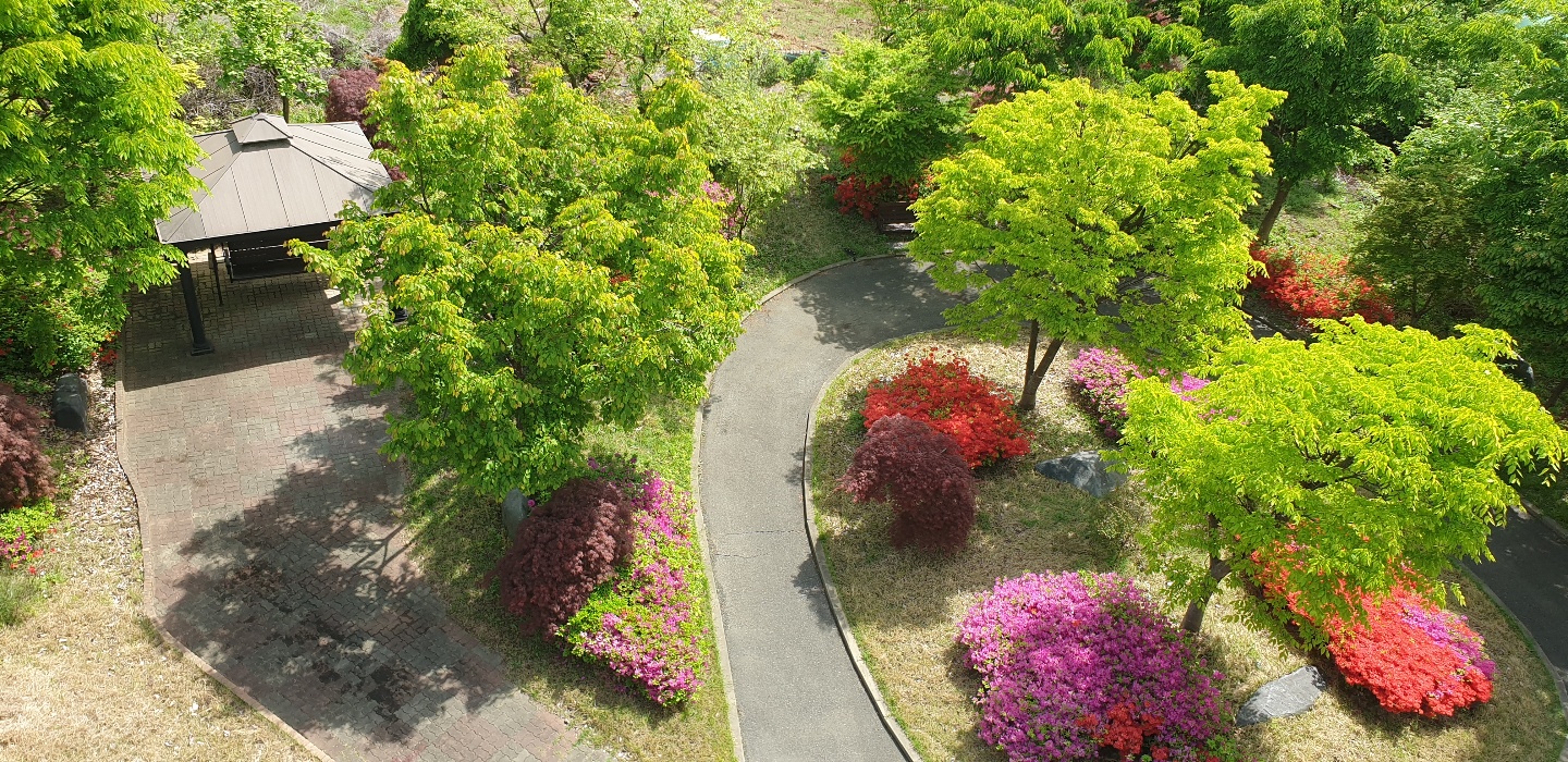 플래티늄 이미지 2