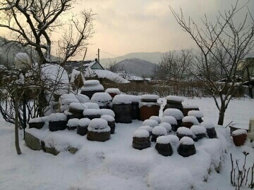 행복한집 이미지 5