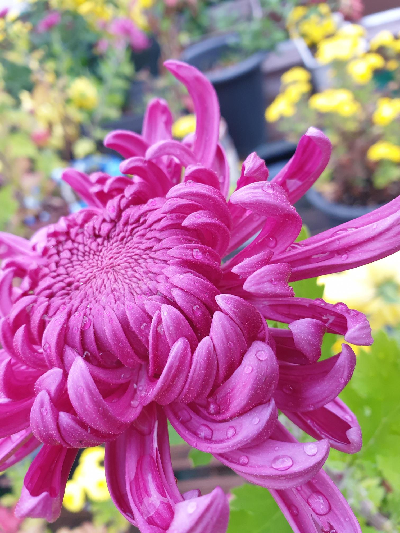 효누리요양원 이미지 3