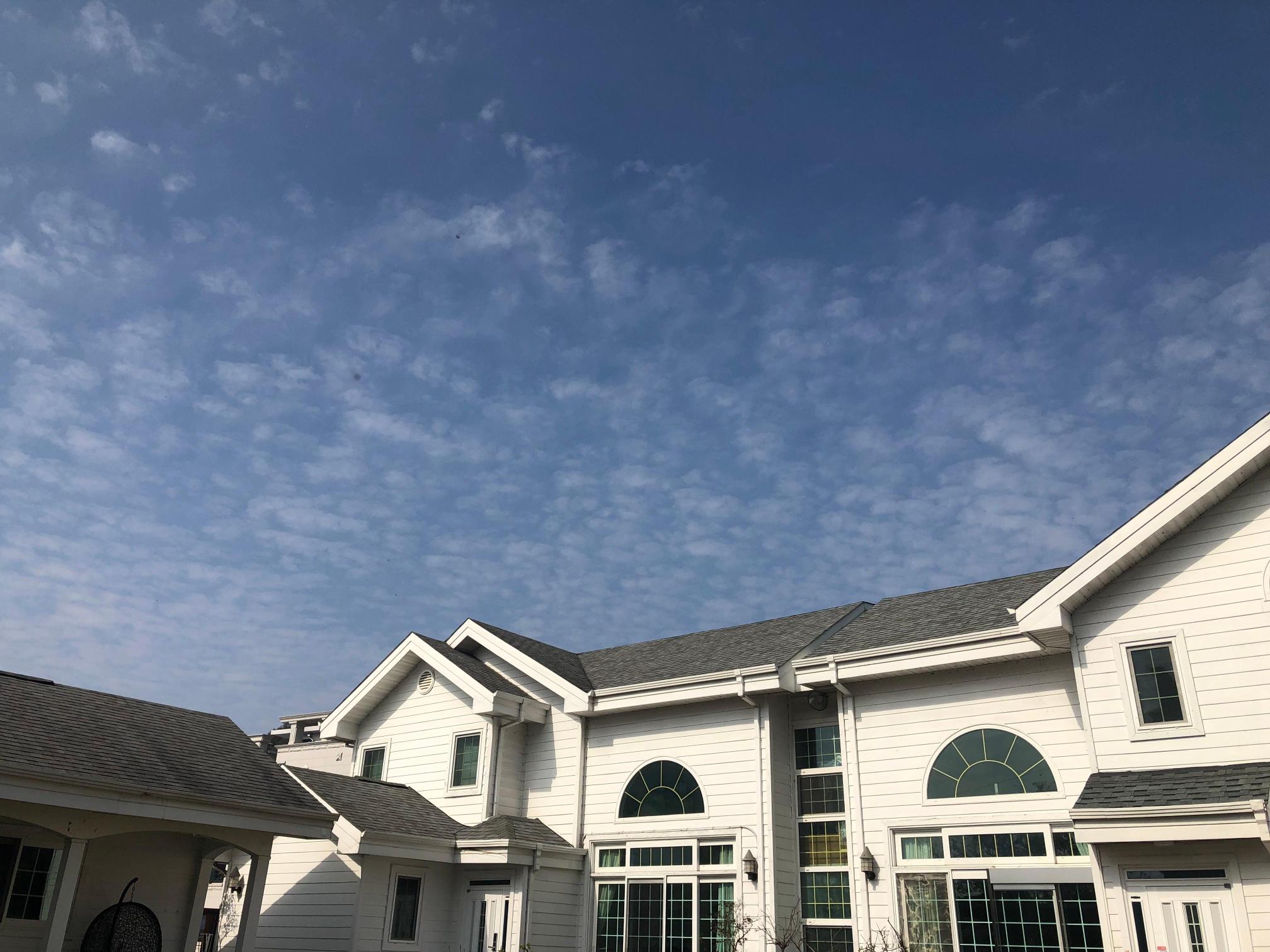 종려나무복지센터