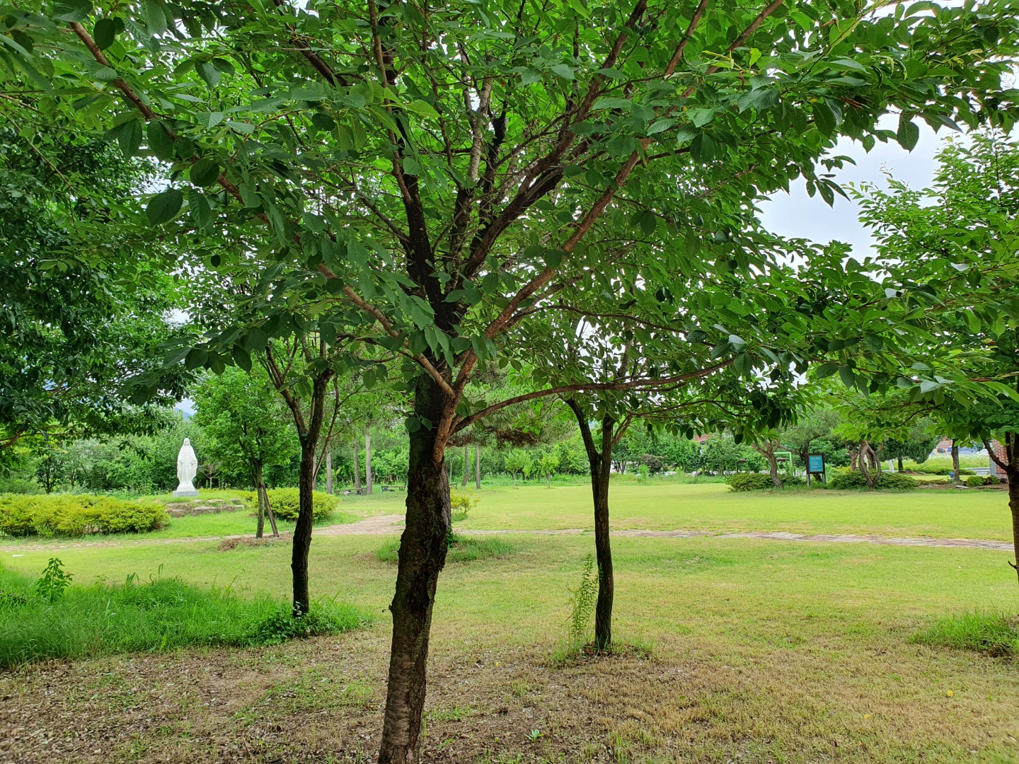 금성카리타스요양원