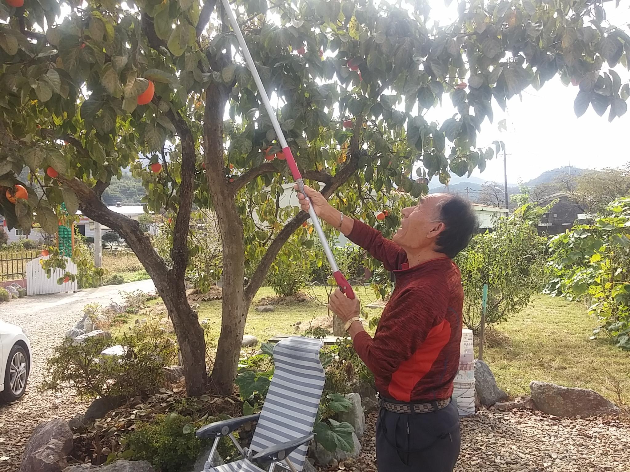 소망요양원 이미지 3