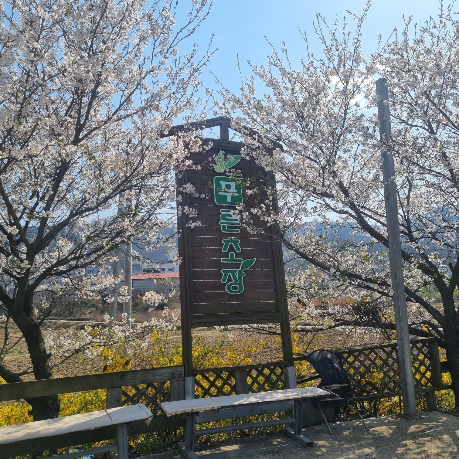 푸른초장요양원2