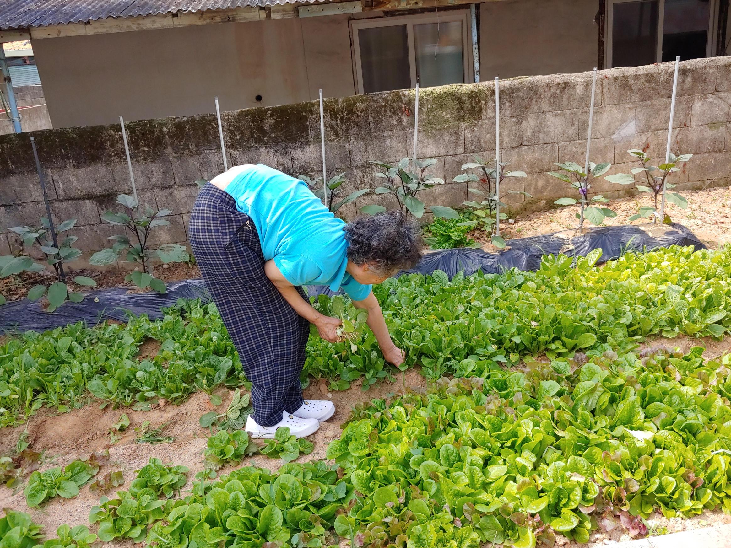 소망요양원 이미지 2