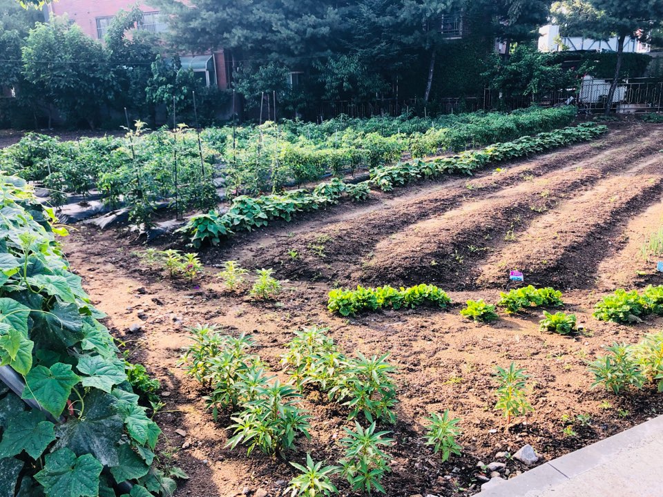 사회복지법인 죽파재단 감천장요양원 이미지 2