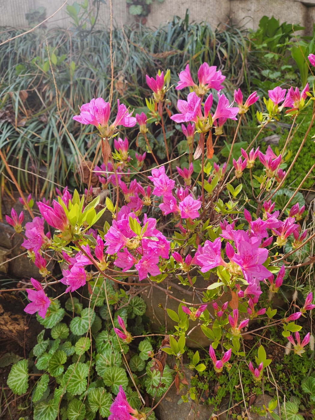 이화엔젤스요양원 이미지 2