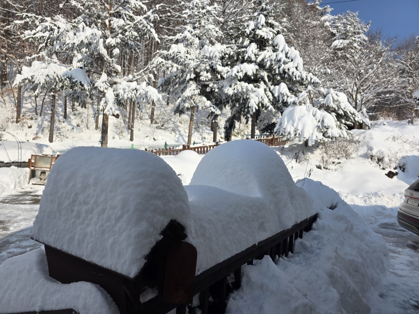 정선효도마을 이미지 2