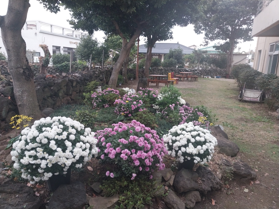 노인의료복지시설 연화원 이미지 10