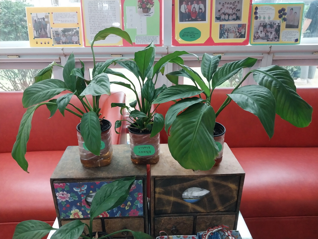 노인의료복지시설 연화원 이미지 39