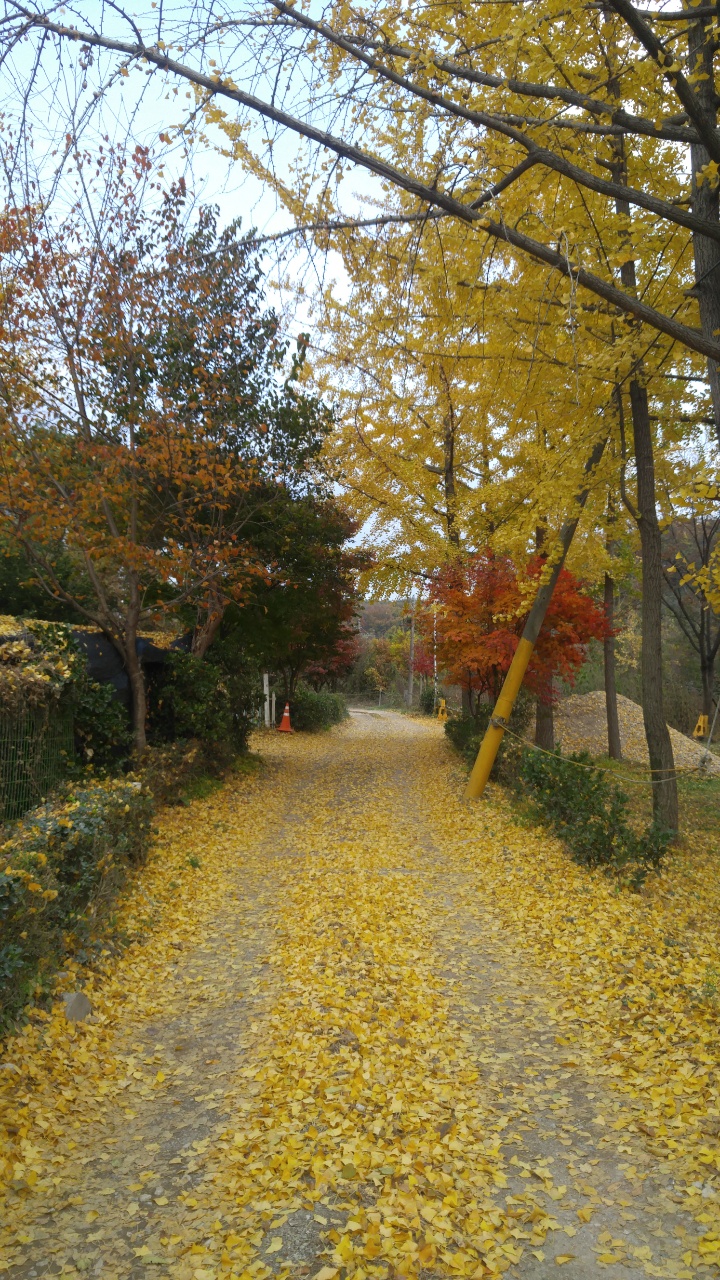 은성요양원 이미지 3