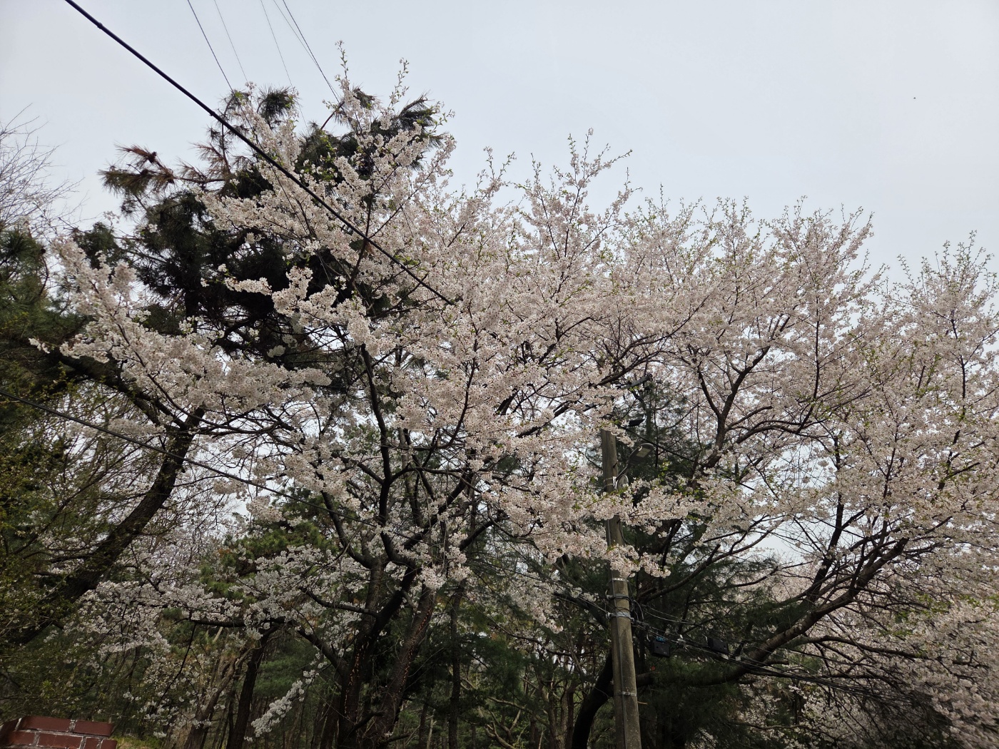 청학숲요양원 이미지 2